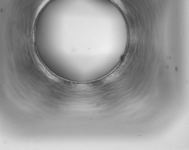 X0000060241436200511111918