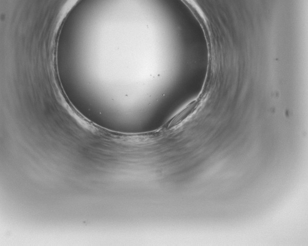 X0000060241437200511111918