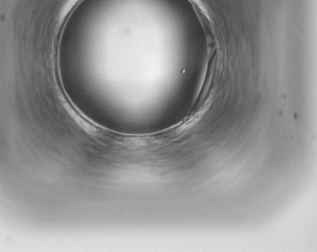 X0000060241438200511111918