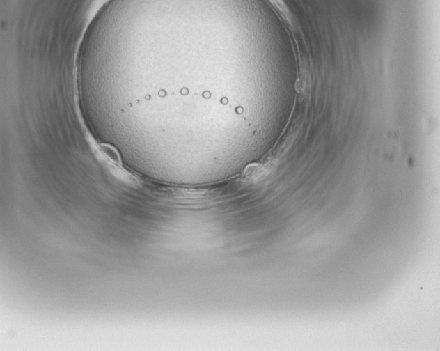 X0000060241439200511111918