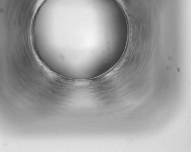 X0000060241440200511111918