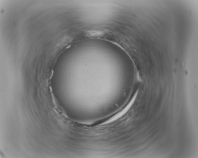 X0000060241441200511111917