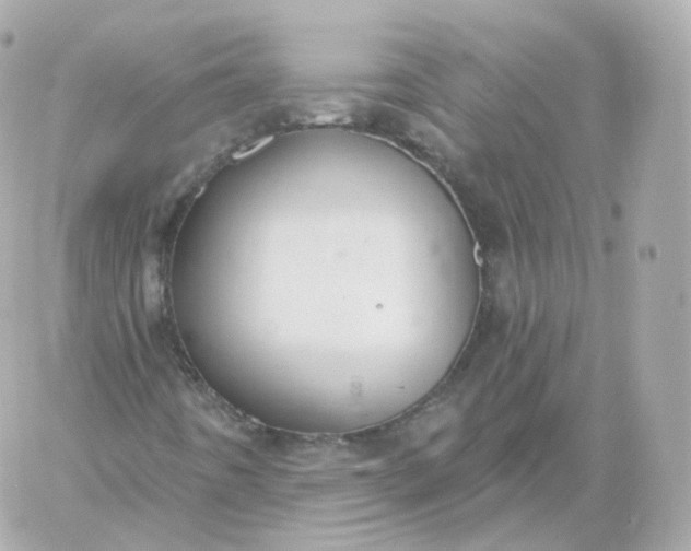 X0000060241442200511111917