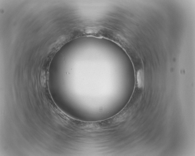 X0000060241443200511111917