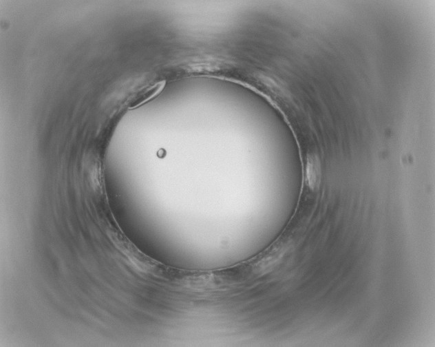 X0000060241444200511111917