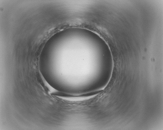 X0000060241445200511111917