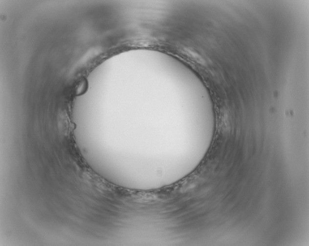 X0000060241446200511111917