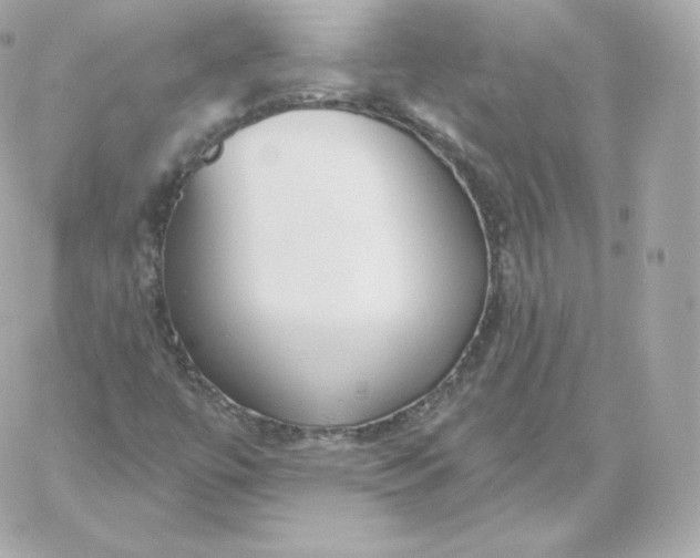 X0000060241447200511111917