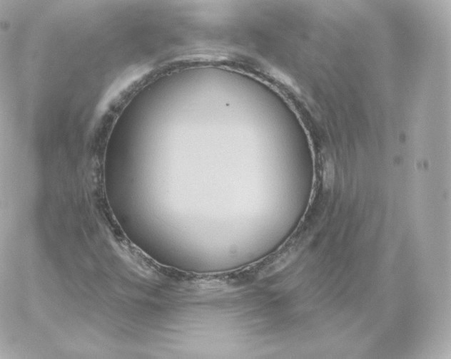 X0000060241448200511111917