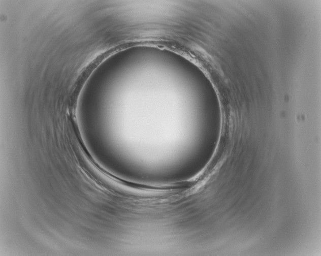 X0000060241449200511111917