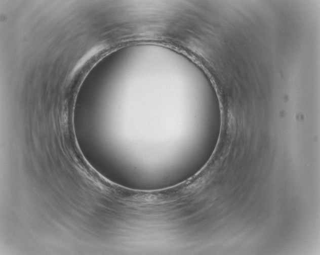 X0000060241450200511111917