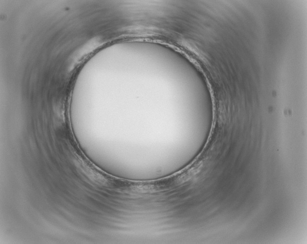 X0000060241451200511111917