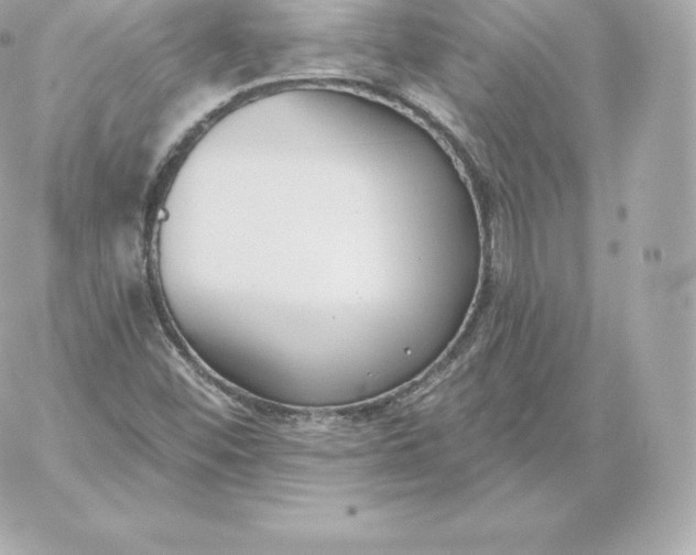 X0000060241452200511111917