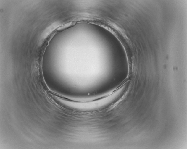 X0000060241453200511111917