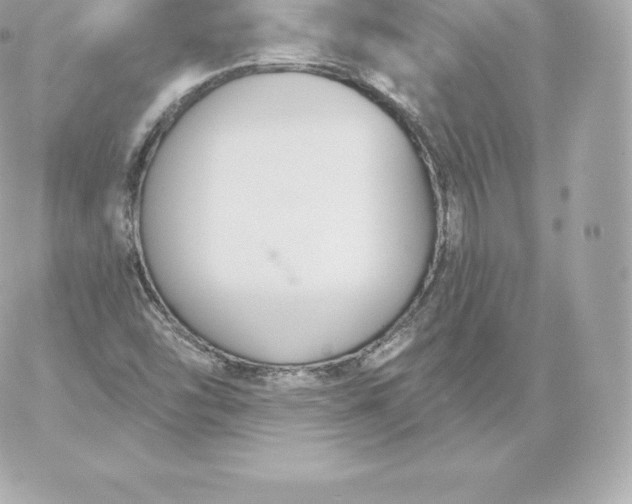 X0000060241454200511111917