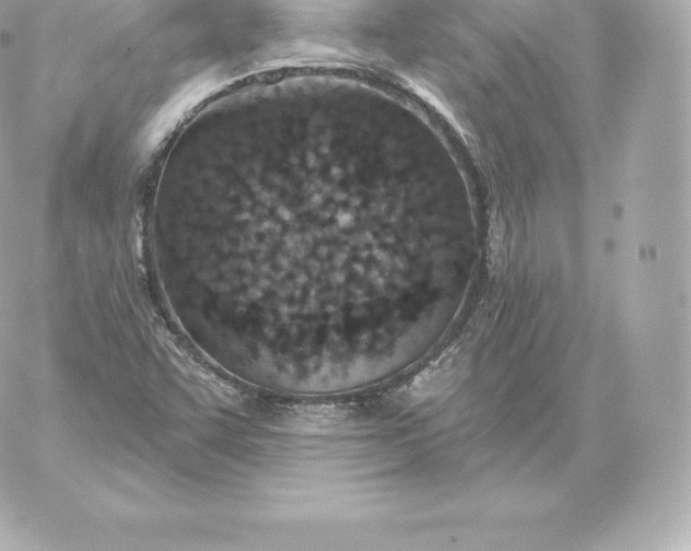 X0000060241455200511111917