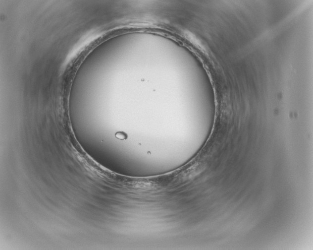 X0000060241456200511111917