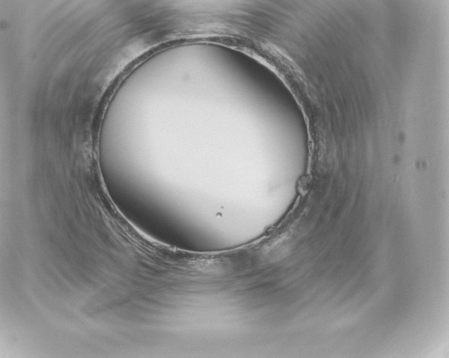 X0000060241457200511111917