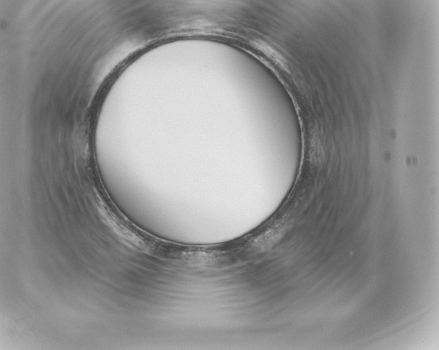 X0000060241458200511111917