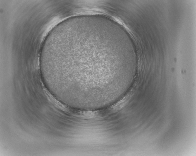 X0000060241459200511111917