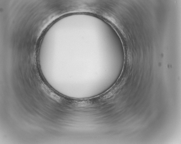 X0000060241460200511111917