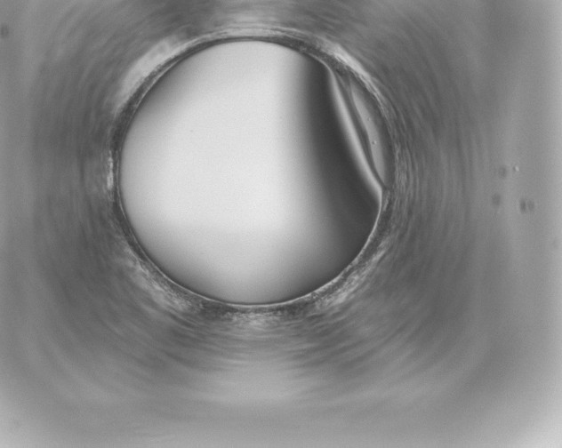 X0000060241461200511111917