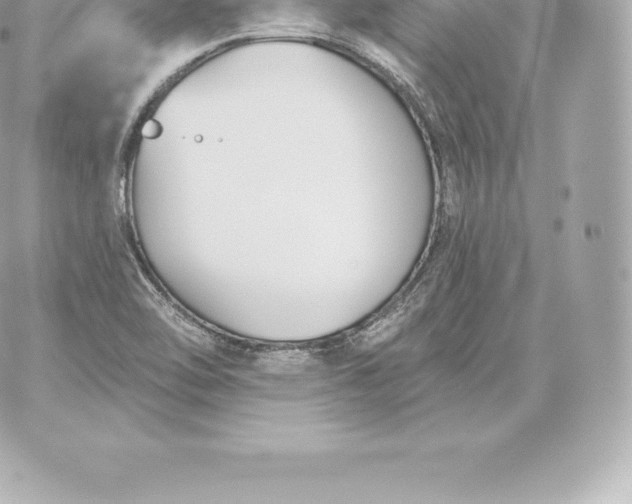 X0000060241462200511111917