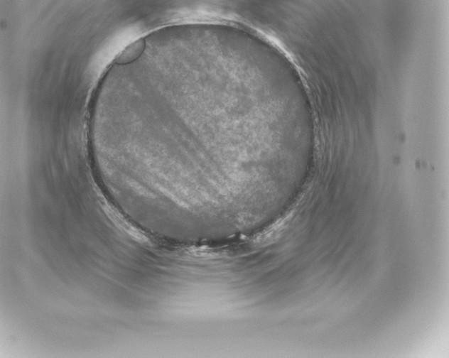 X0000060241463200511111917