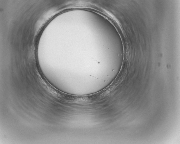 X0000060241464200511111917