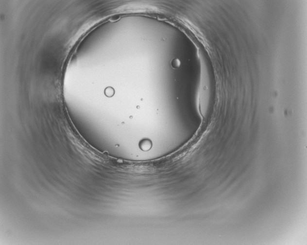 X0000060241465200511111917