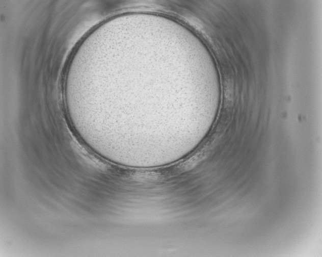 X0000060241466200511111917