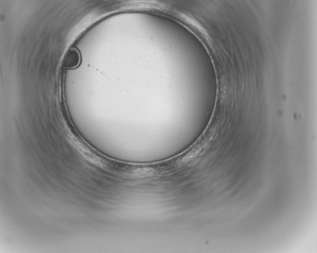 X0000060241467200511111917