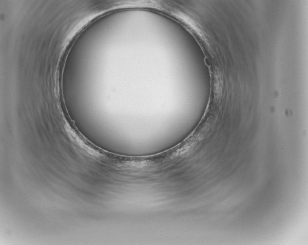 X0000060241468200511111917