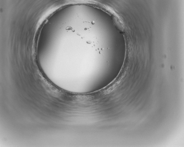 X0000060241469200511111917