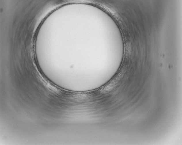 X0000060241470200511111917