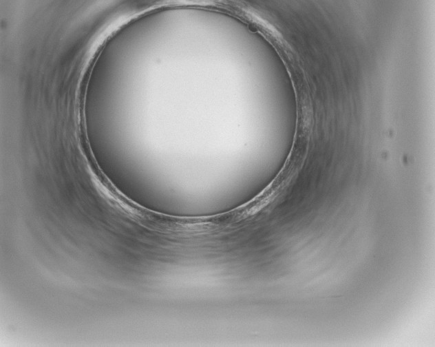 X0000060241471200511111916