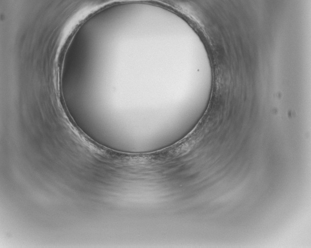 X0000060241472200511111916