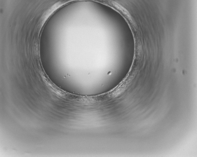 X0000060241473200511111916