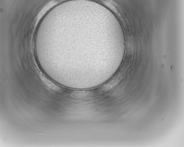 X0000060241474200511111916