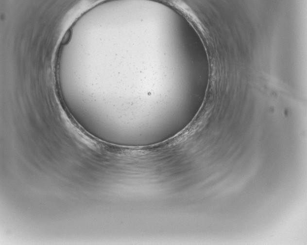 X0000060241475200511111916