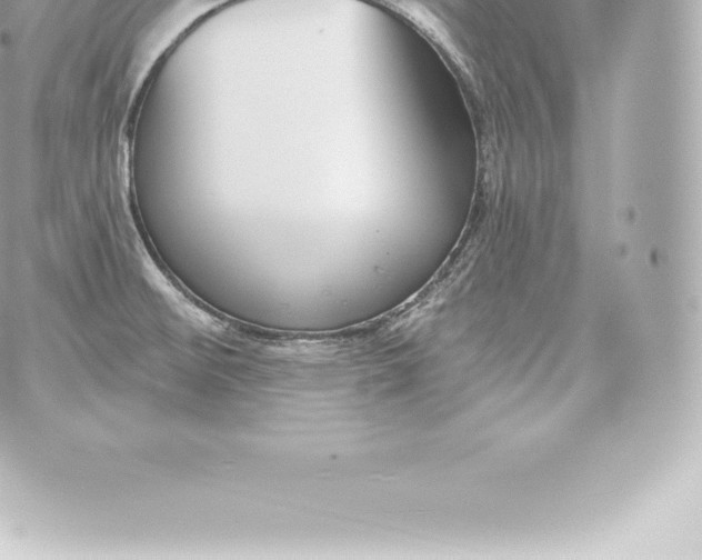 X0000060241476200511111916