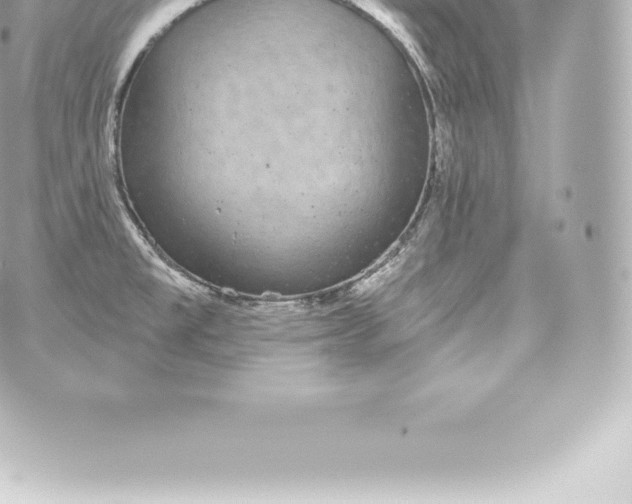 X0000060241477200511111916