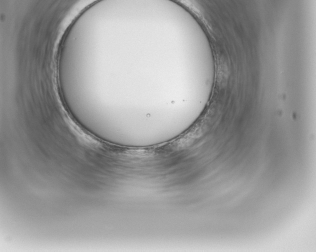 X0000060241478200511111916