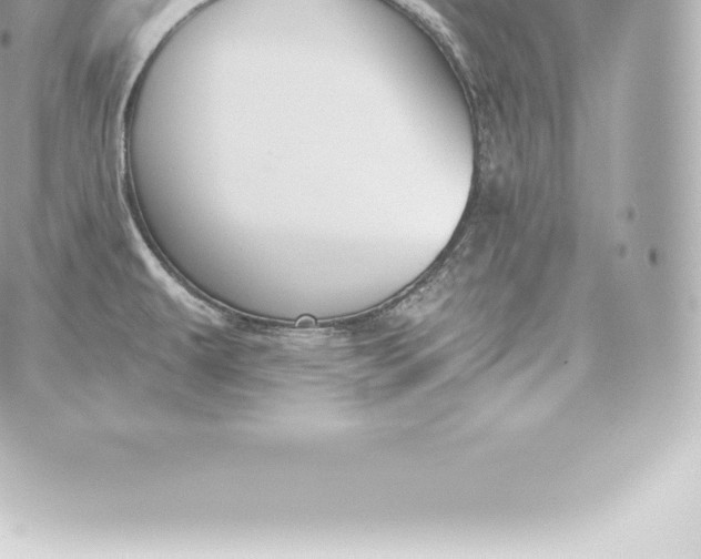 X0000060241479200511111916