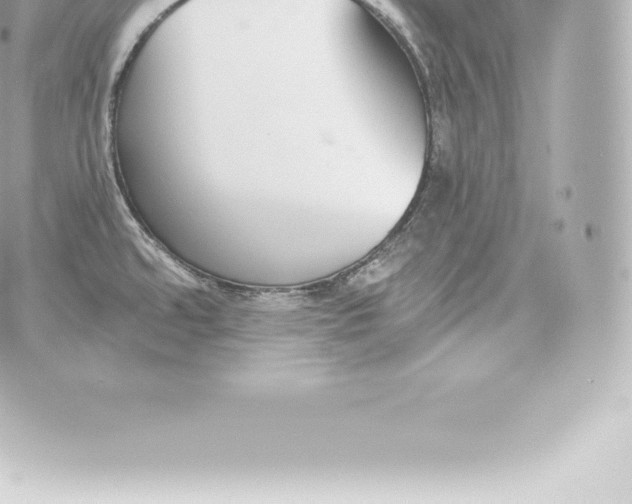 X0000060241480200511111916