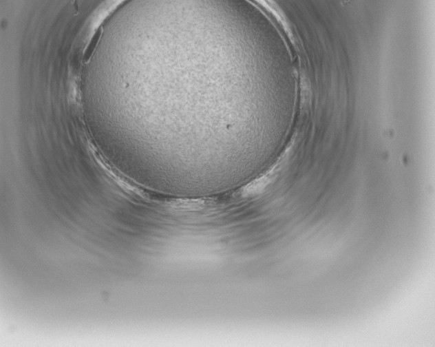 X0000060241481200511111916