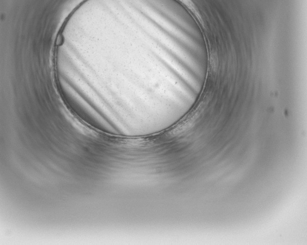 X0000060241482200511111916