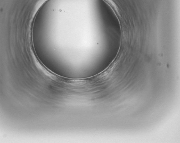 X0000060241483200511111916