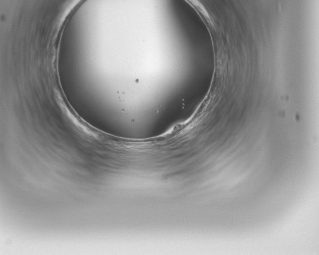 X0000060241484200511111916