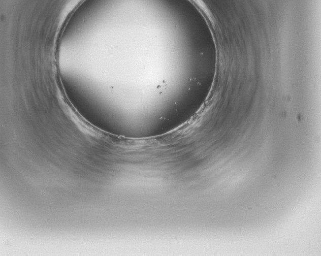 X0000060241485200511111916